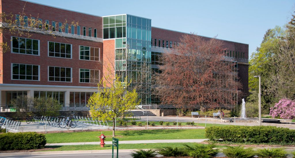 msu library