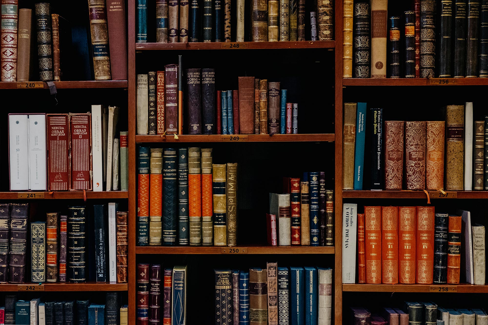Read more about the article WRAC Launches the Cube (Publishing – Process – Praxis)!