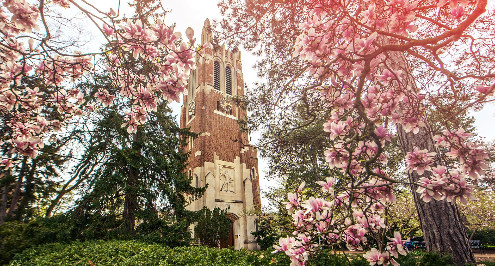 Read more about the article Awards Announced for the PW Outstanding Major