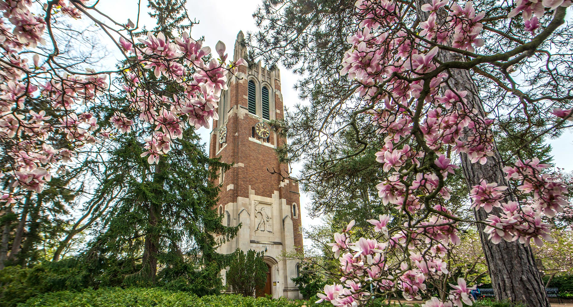 Read more about the article Two Arts & Letters Students to Graduate with Perfect 4.0