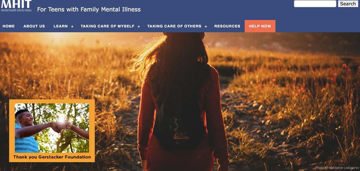 Read more about the article Learning While Meeting Community Needs for Mental Health Resource