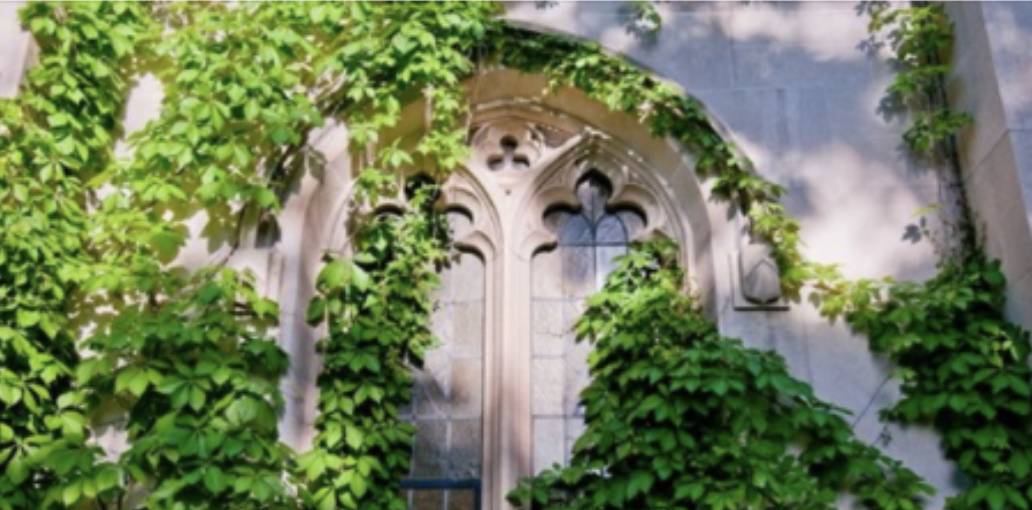 Read more about the article WRAC Welcomes New Students to the Rhetoric and Writing Graduate Program!