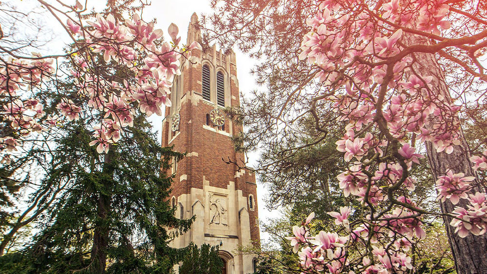 Read more about the article College of Arts & Letters Graduates Earn 4.0 GPA Board of Trustees Awards