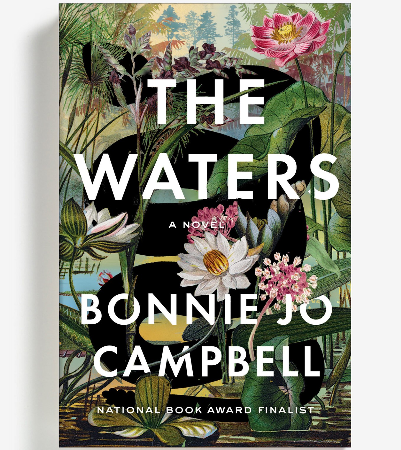 Book cover with images of water flowers and the wording: "The Waters, a Novel, Bonnie Jo Campbell, National Book Award Finalist"