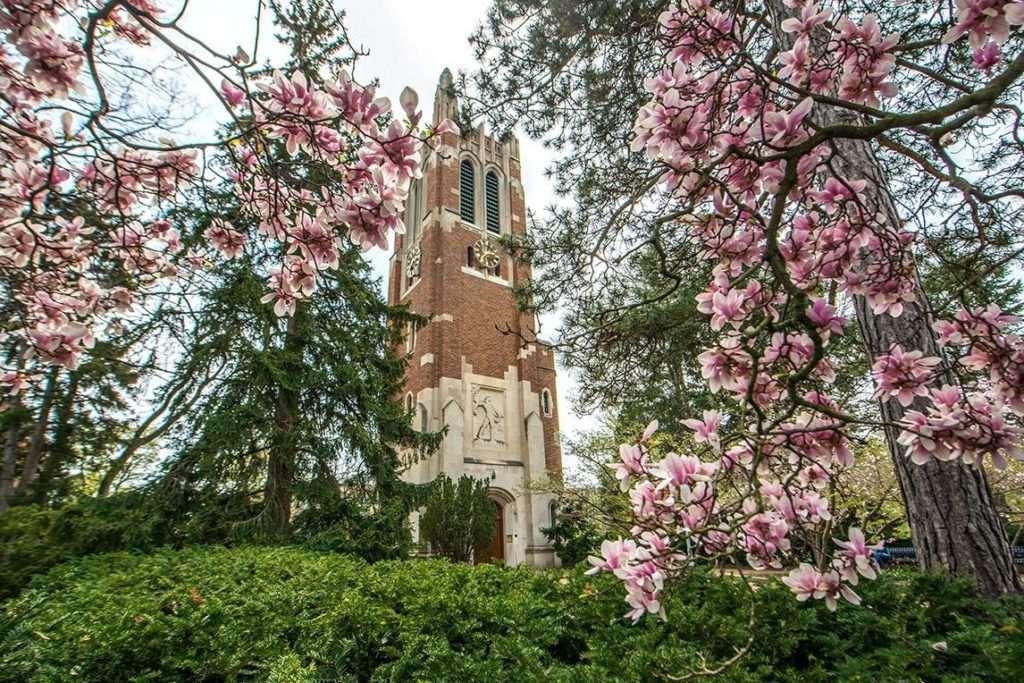 A photo of Beaumont Tower with pretty pink magnolia flowers in the spring. 